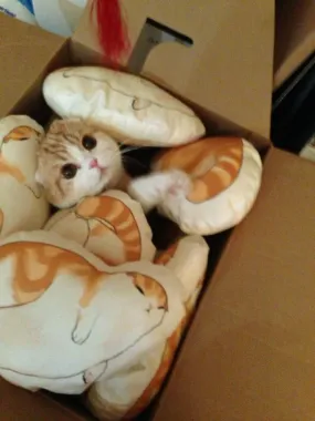 Blorp Pillow