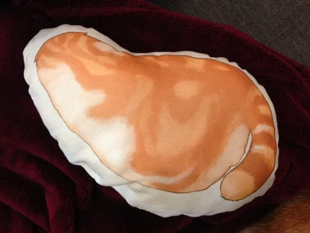 Blorp Pillow