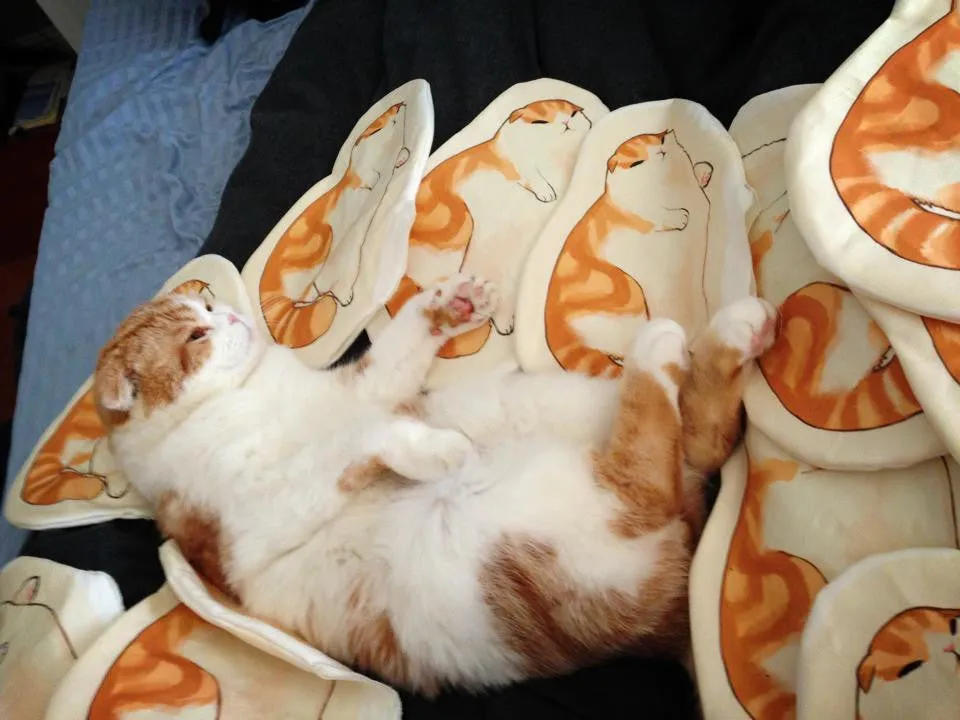 Blorp Pillow