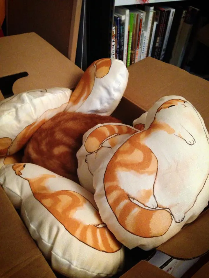 Blorp Pillow