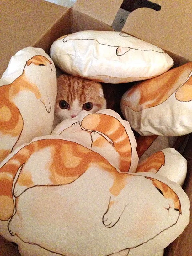 Blorp Pillow